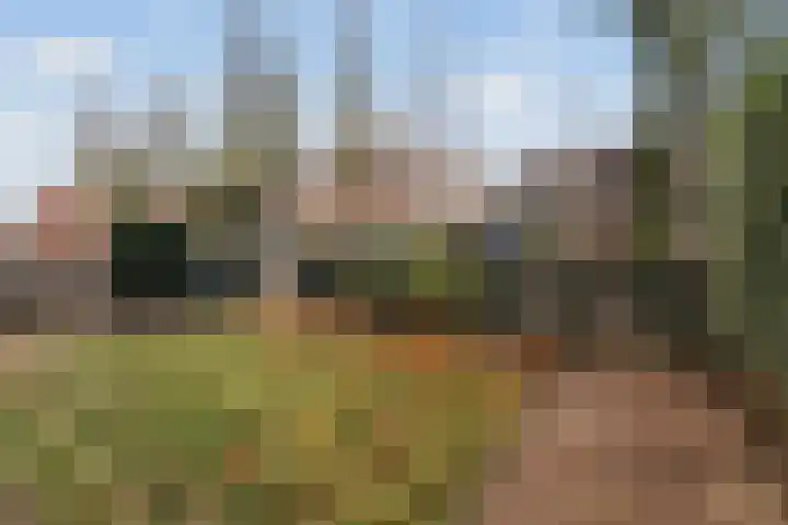 Draverslaan 24 Hoofddorp thumbnail 33