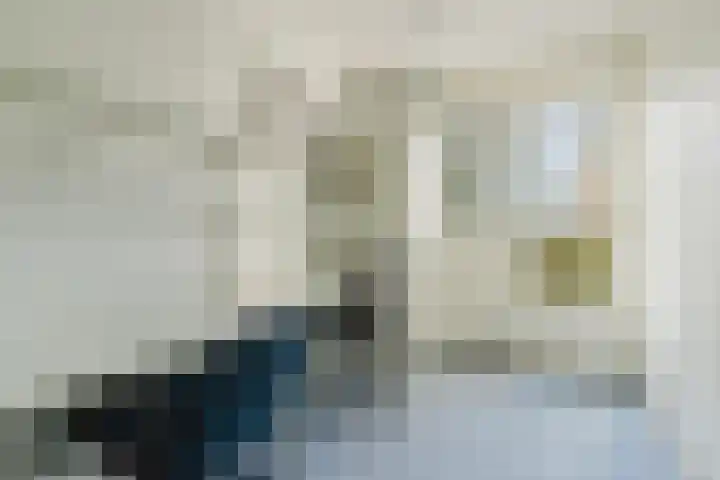 Dravietdijk 24 Roosendaal thumbnail 21