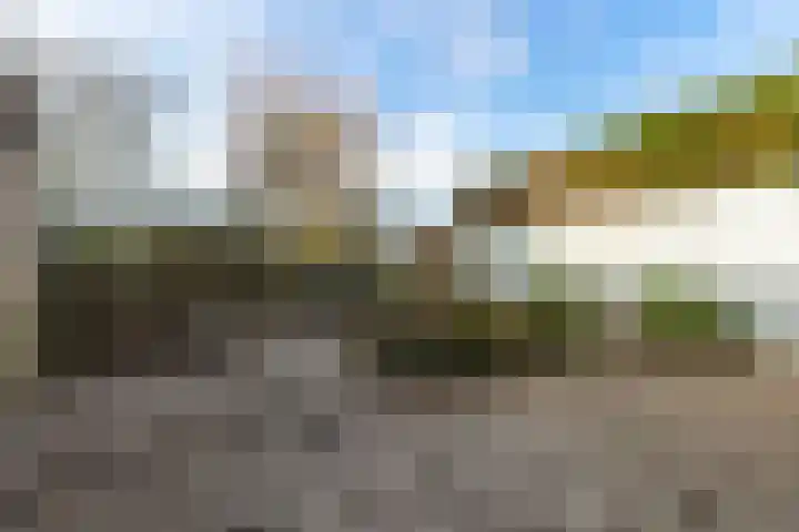 Dravietdijk 24 Roosendaal thumbnail 33