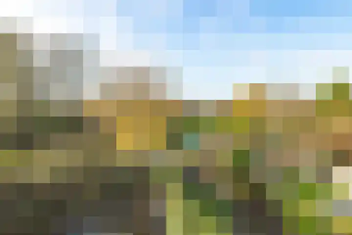 Dravietdijk 24 Roosendaal thumbnail 34