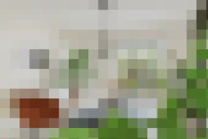 Dravietdijk 24 Roosendaal thumbnail 7