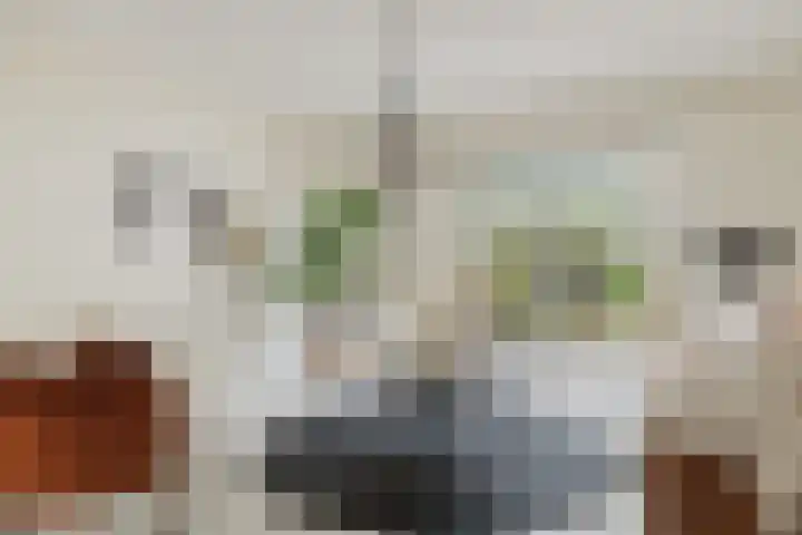 Dravietdijk 24 Roosendaal thumbnail 8