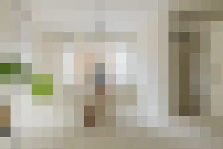 Dravietdijk 24 Roosendaal thumbnail 9