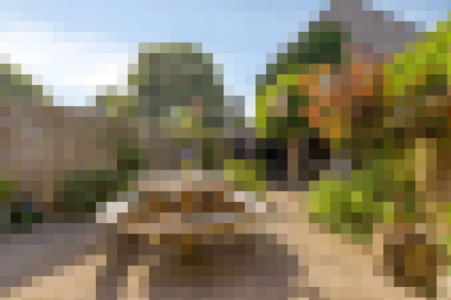 Dravik 16 Malden thumbnail 31
