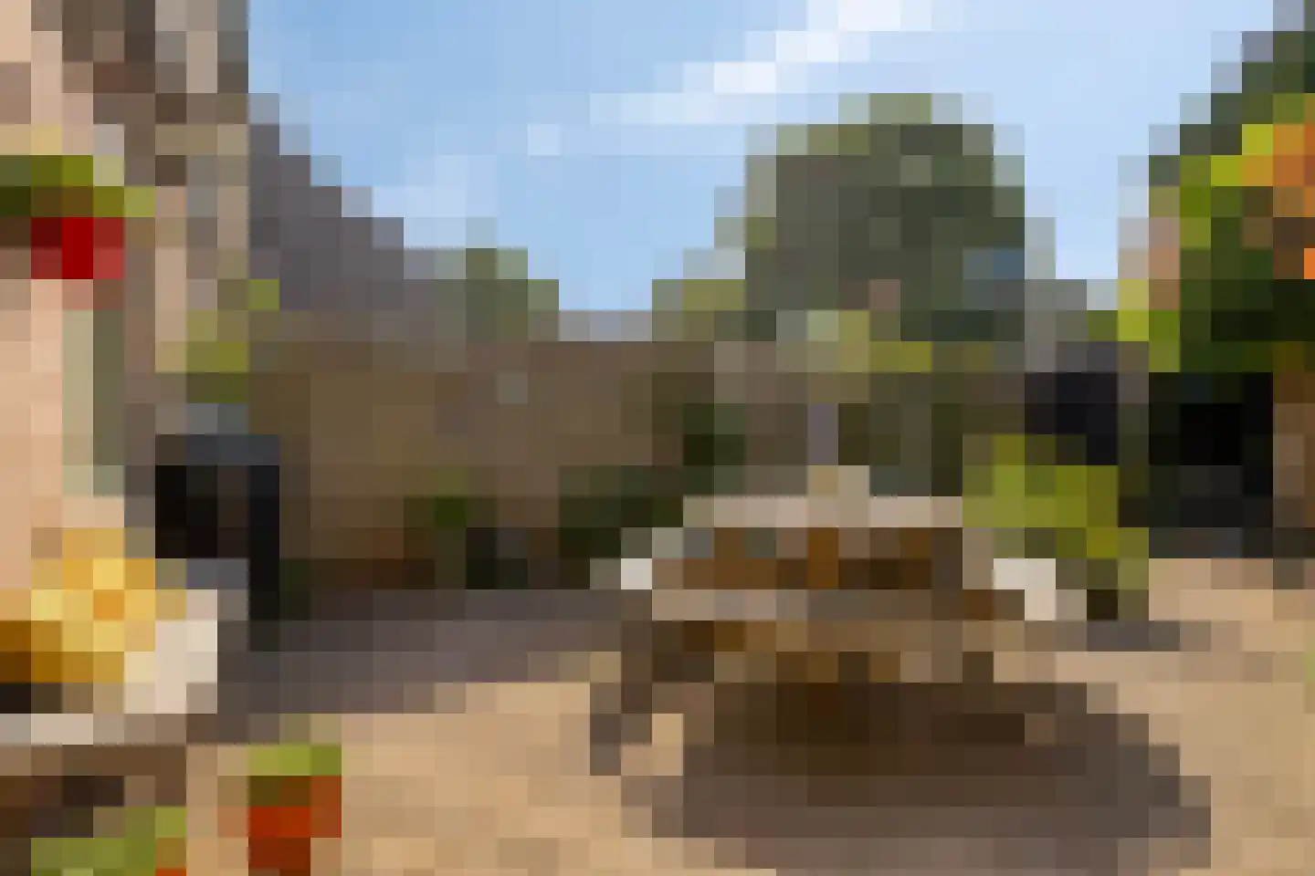 Dravik 16 Malden thumbnail 32