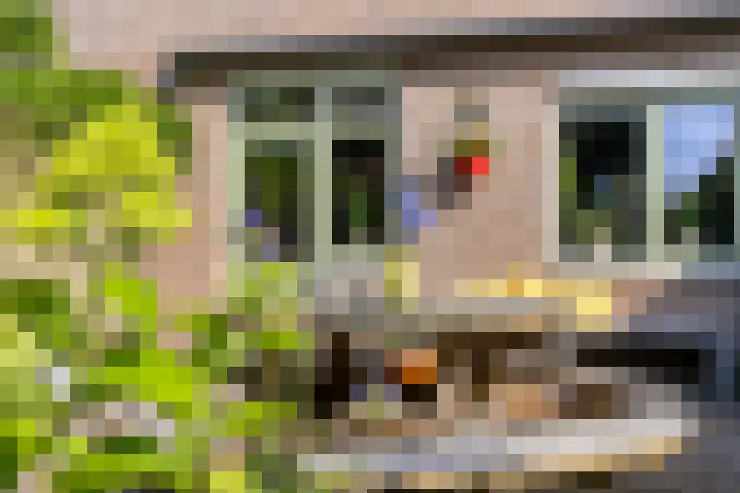 Dravik 16 Malden thumbnail 33