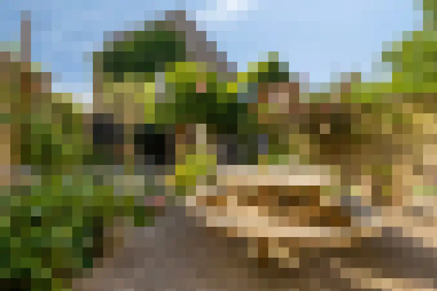Dravik 16 Malden thumbnail 34