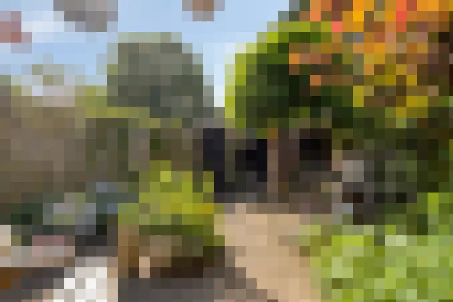 Dravik 16 Malden thumbnail 35