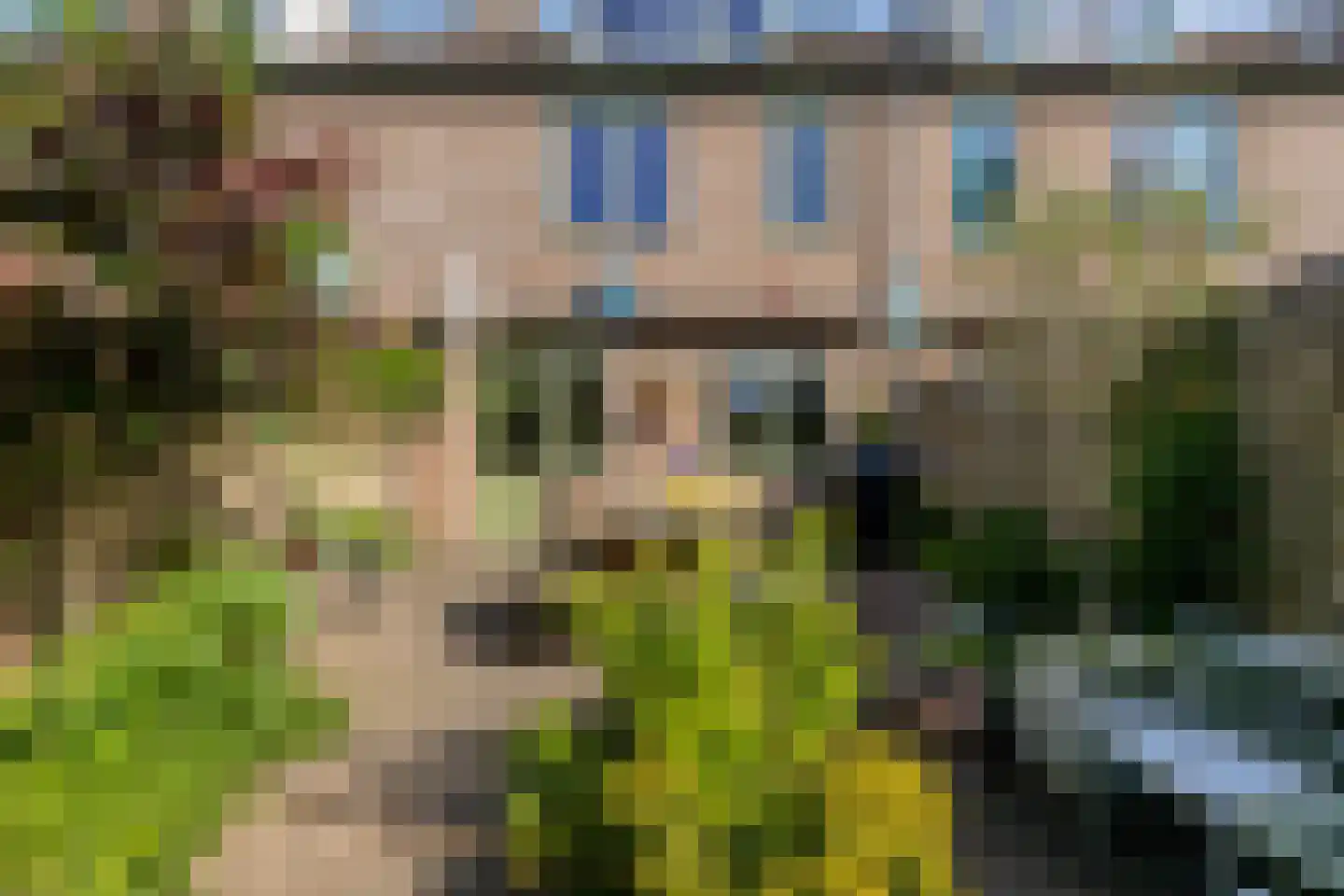 Dravik 16 Malden thumbnail 36