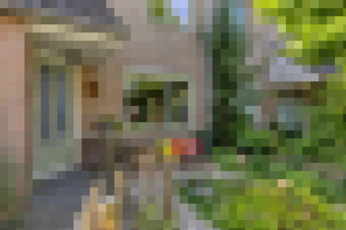 Dravik 16 Malden thumbnail 38