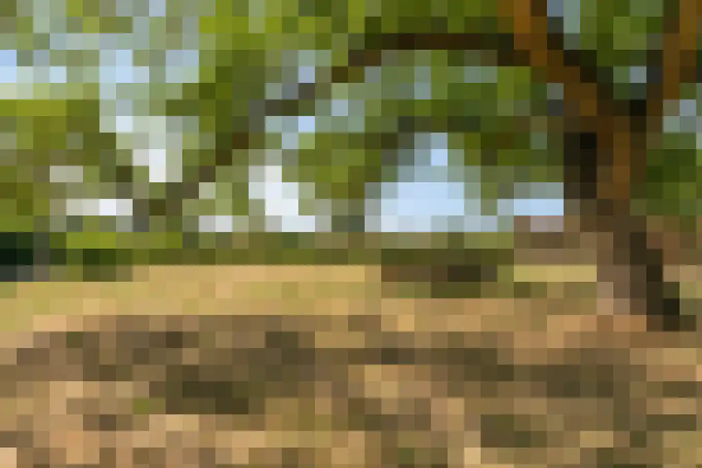 Dravik 16 Malden thumbnail 43