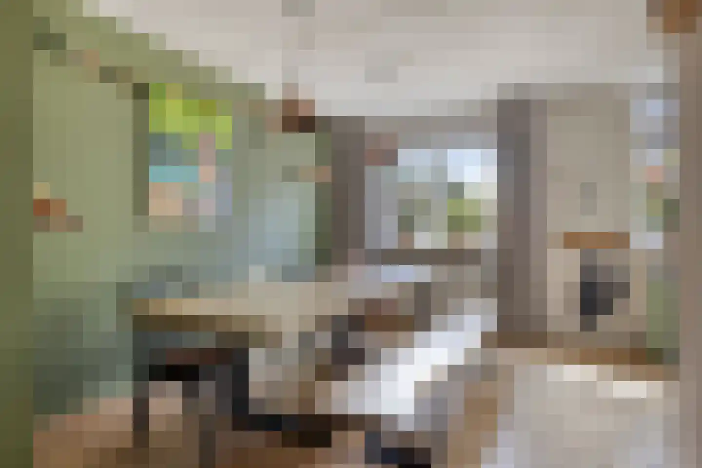 Dravik 16 Malden thumbnail 8