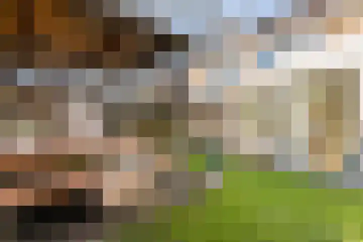 Dravik 24 Oldenzaal thumbnail 23