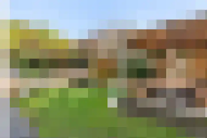 Dravik 24 Oldenzaal thumbnail 24