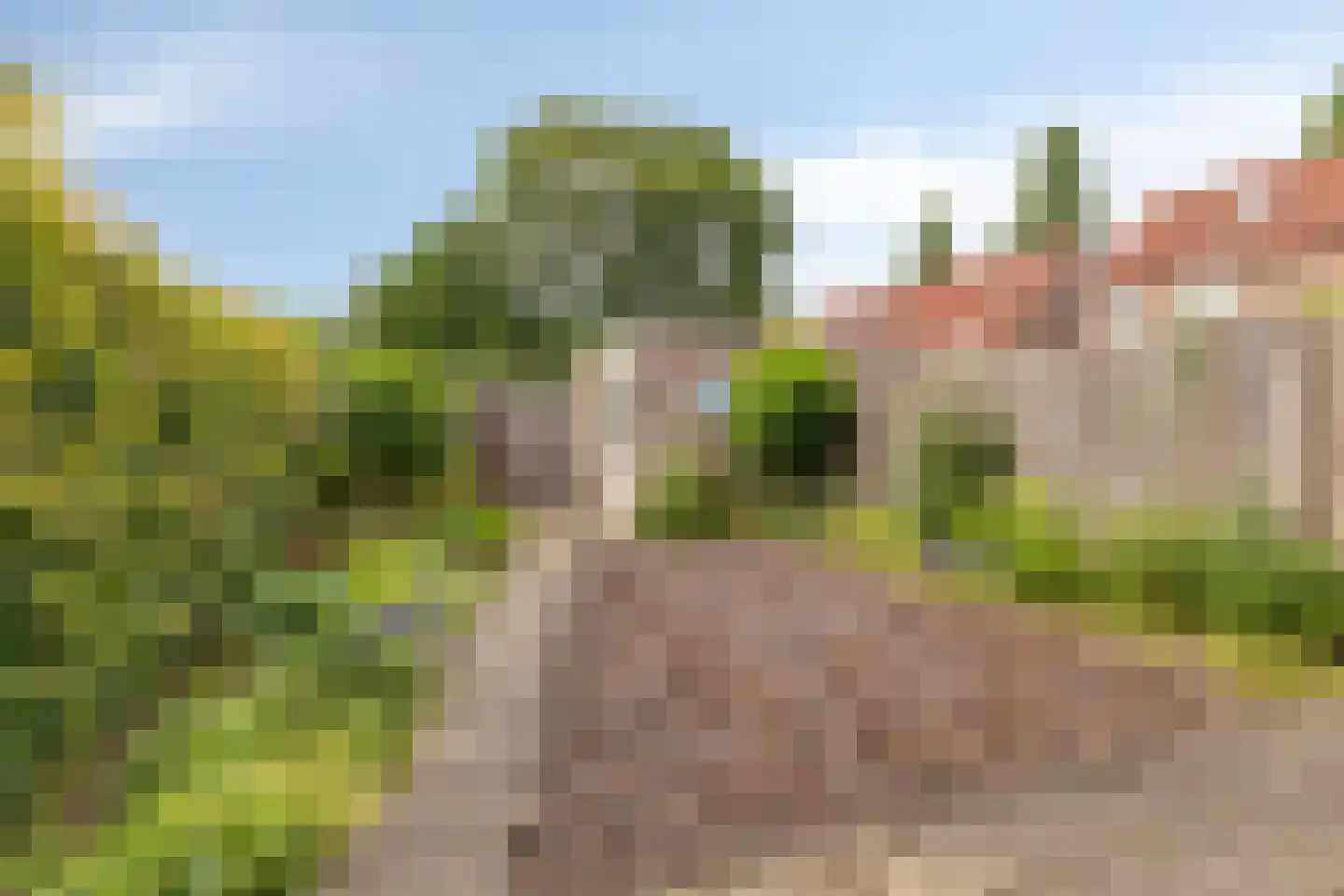 Dravik 25 Malden thumbnail 22