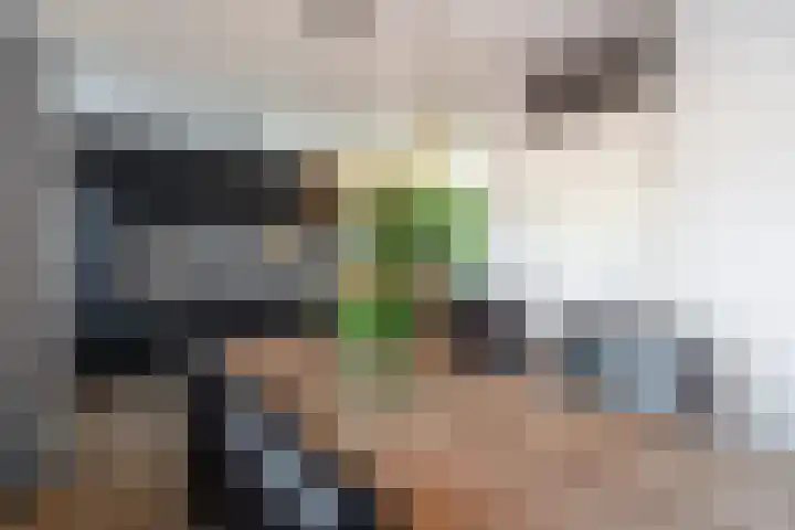 Dravik 27 Malden thumbnail 15