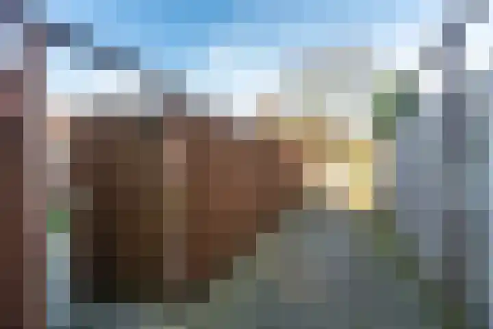Dravik 27 Malden thumbnail 45