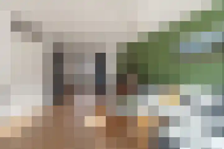 Dravik 27 Malden thumbnail 9