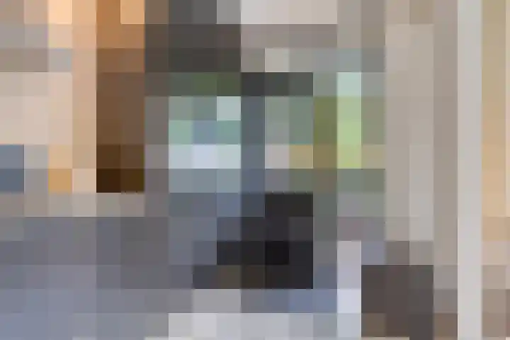 Draviklaan 13 Nuenen thumbnail 13