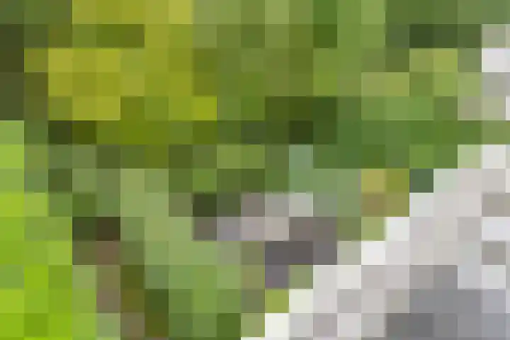 Draviklaan 13 Nuenen thumbnail 19
