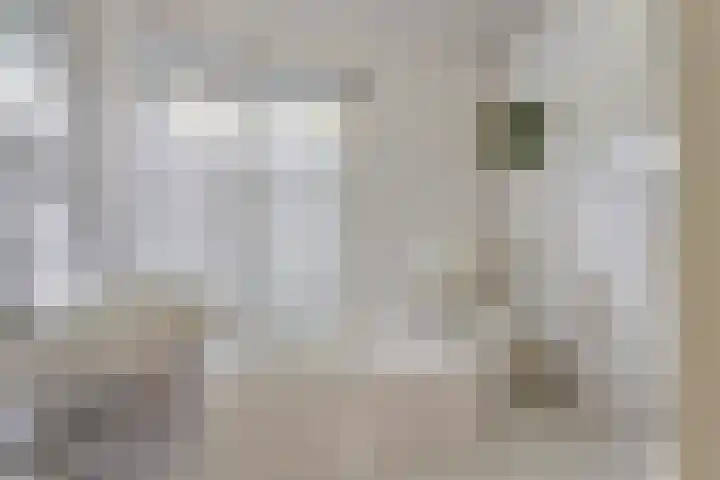 Draviklaan 13 Nuenen thumbnail 20