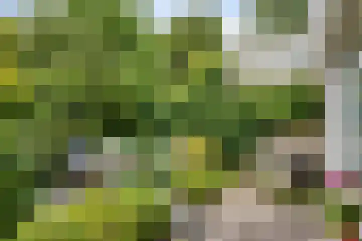 Draviklaan 13 Nuenen thumbnail 24