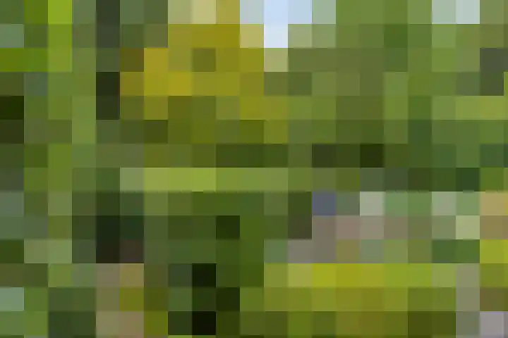 Draviklaan 13 Nuenen thumbnail 25