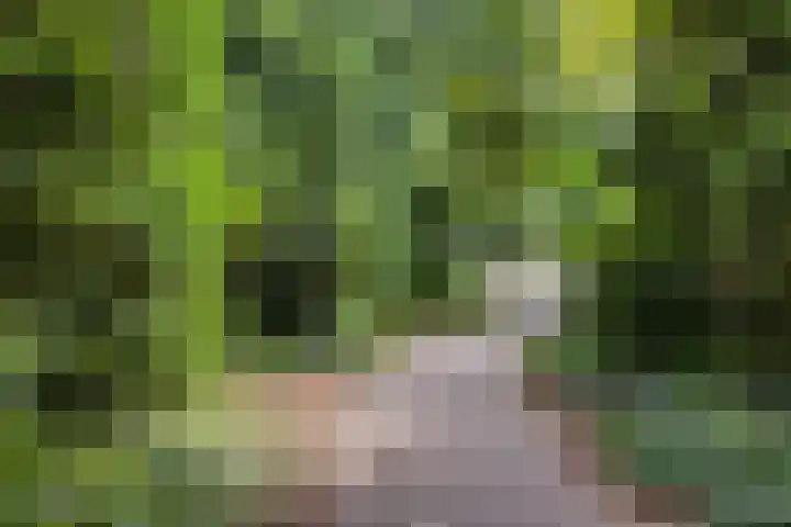 Draviklaan 13 Nuenen thumbnail 26