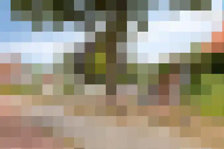 Draviklaan 13 Nuenen thumbnail 27