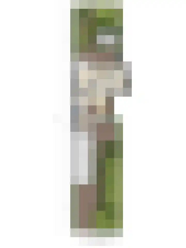 Draviklaan 13 Nuenen thumbnail 31
