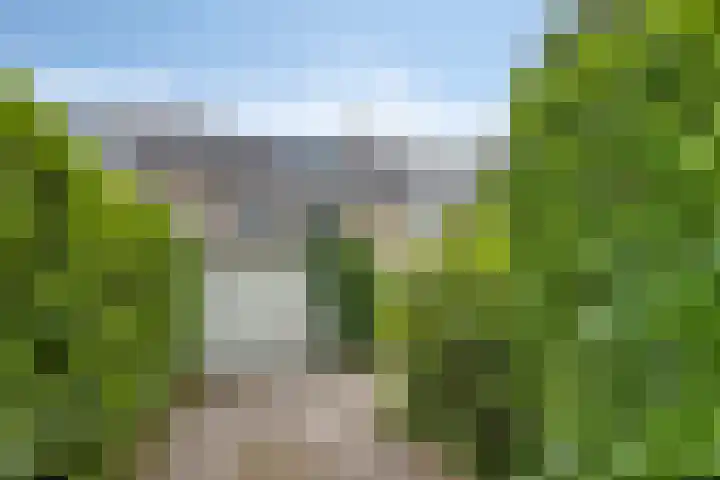 Draviklaan 13 Nuenen thumbnail 32