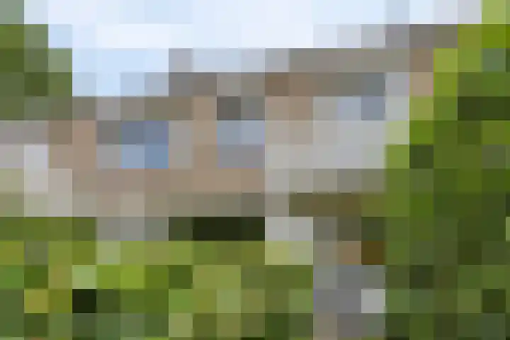 Draviklaan 13 Nuenen thumbnail 4