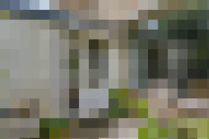 Draviklaan 13 Nuenen thumbnail 5