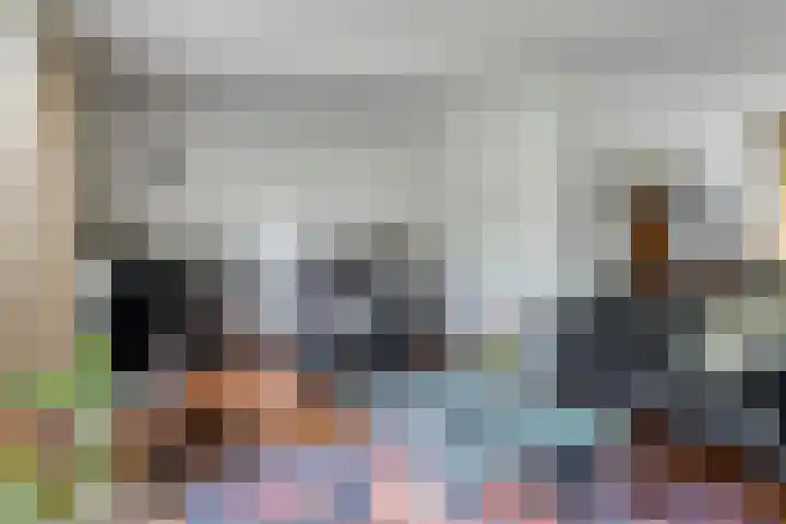 Draviklaan 13 Nuenen thumbnail 8
