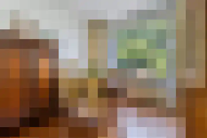 Draviklaan 13 Nuenen thumbnail 9