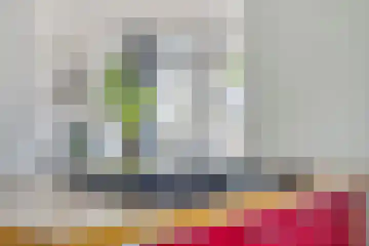 Draviklaan 2 Nuenen thumbnail 14