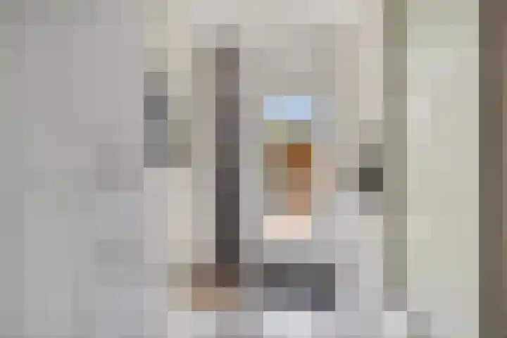 Draviklaan 2 Nuenen thumbnail 16