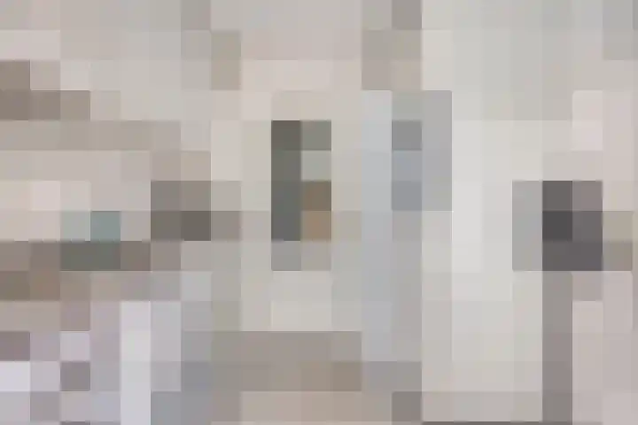 Draviklaan 2 Nuenen thumbnail 17