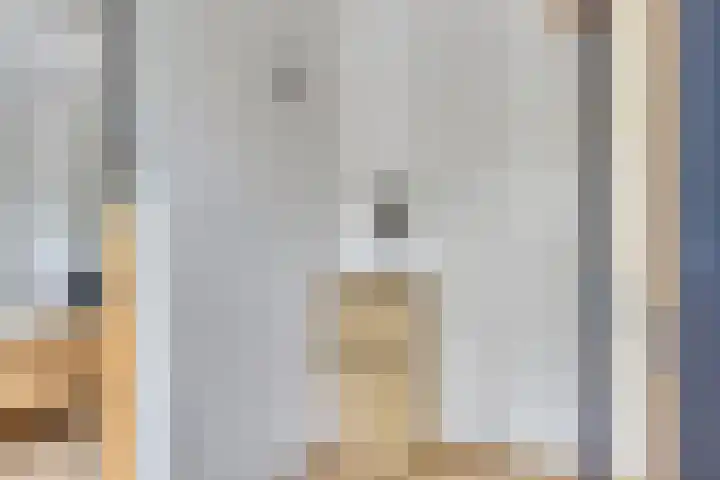 Draviklaan 2 Nuenen thumbnail 22