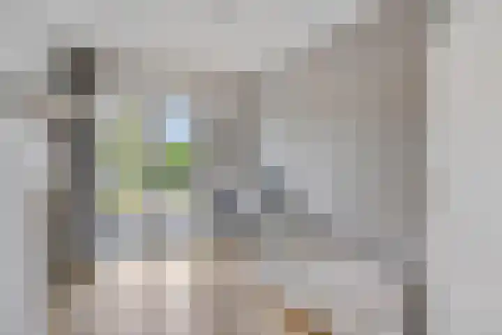 Draviklaan 2 Nuenen thumbnail 26