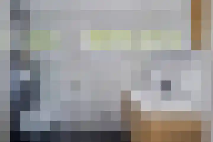 Draviklaan 2 Nuenen thumbnail 28