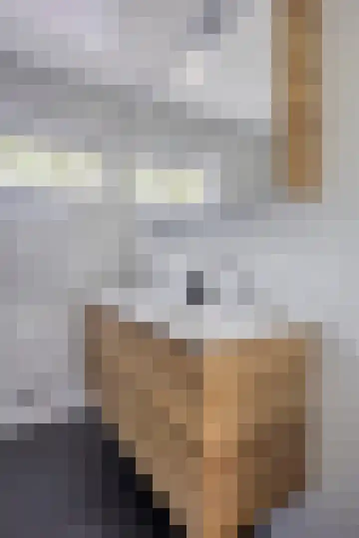 Draviklaan 2 Nuenen thumbnail 29