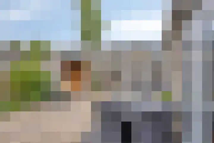 Draviklaan 2 Nuenen thumbnail 36