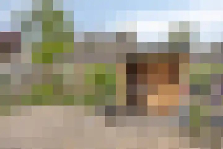 Draviklaan 2 Nuenen thumbnail 37