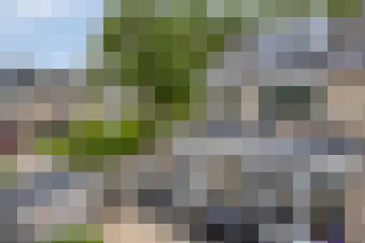 Draviklaan 2 Nuenen thumbnail 38
