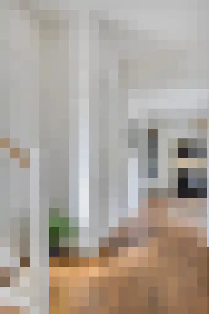 Draviklaan 2 Nuenen thumbnail 4