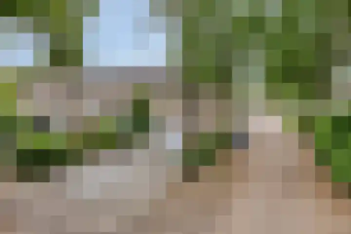 Draviklaan 2 Nuenen thumbnail 40