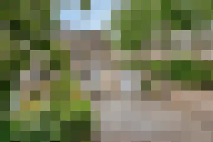 Draviklaan 2 Nuenen thumbnail 41