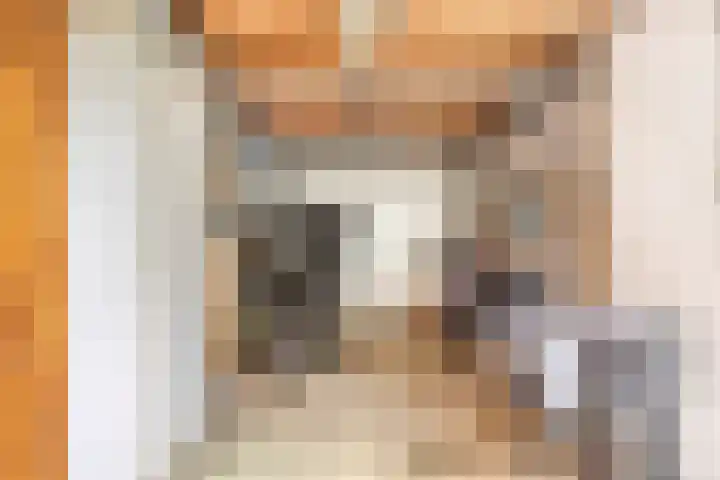 Draviklaan 2 Nuenen thumbnail 42