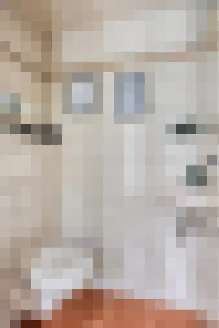 Draviklaan 2 Nuenen thumbnail 5